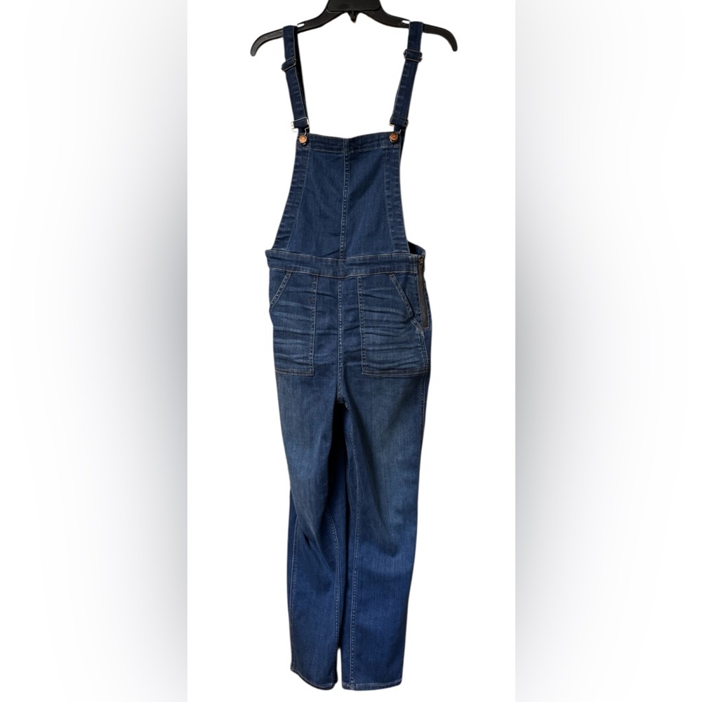 Madewell Skinny Overalls Stretch Denim Jean Coverall M
